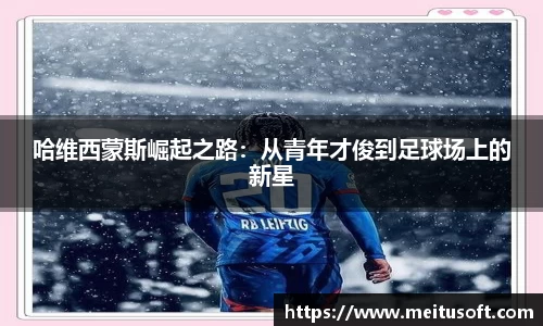 yy易游
